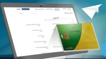 تعاون جديد.. التموين والاتصالات تطلقان خدمات رقمية للبطاقات التموينية